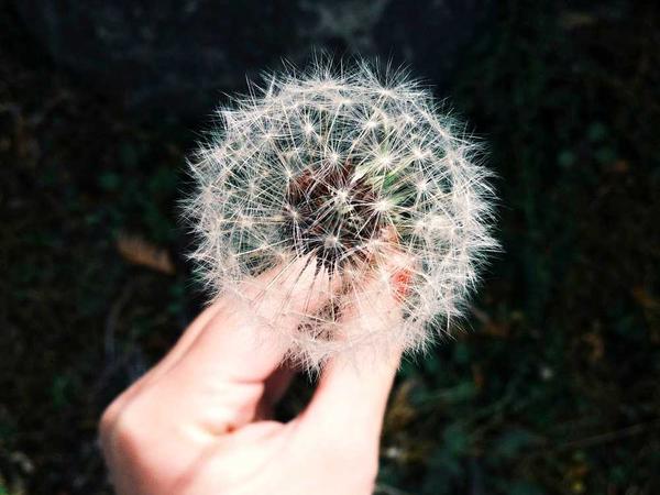 汇伍权益商城使用指南